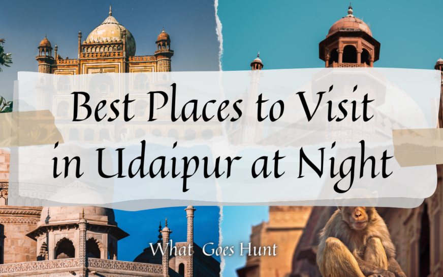 Best Places to Visit in Udaipur at Night time