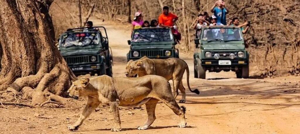 Wildlife Sanctuaries