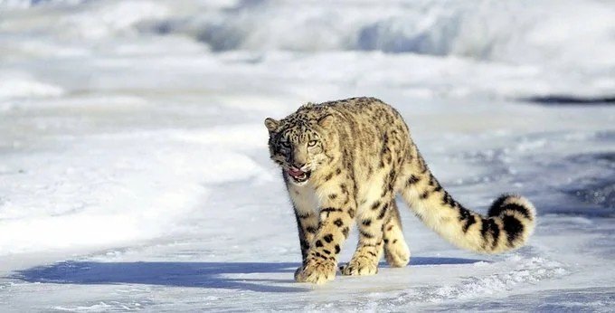 Wildlife Sanctuaries