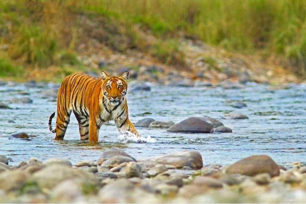 Wildlife Sanctuaries