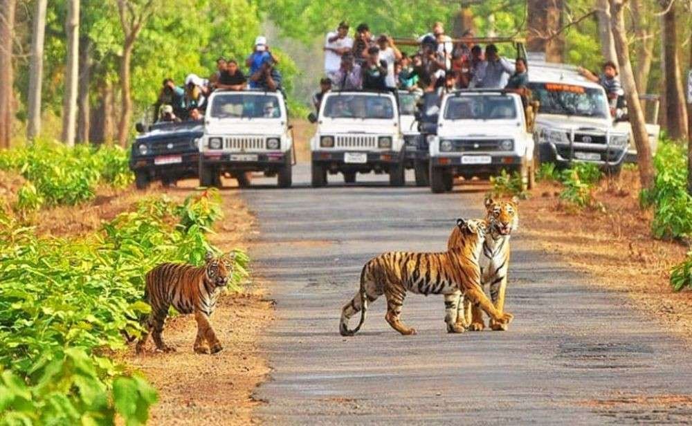 Wildlife Sanctuaries