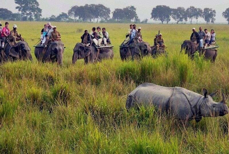 Wildlife Sanctuaries