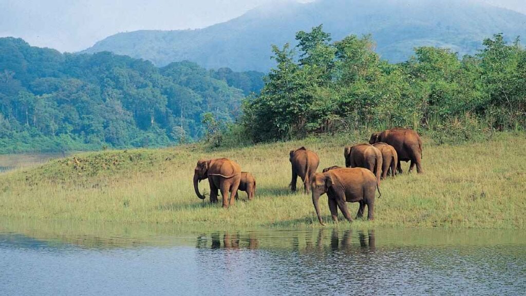 Wildlife Sanctuaries