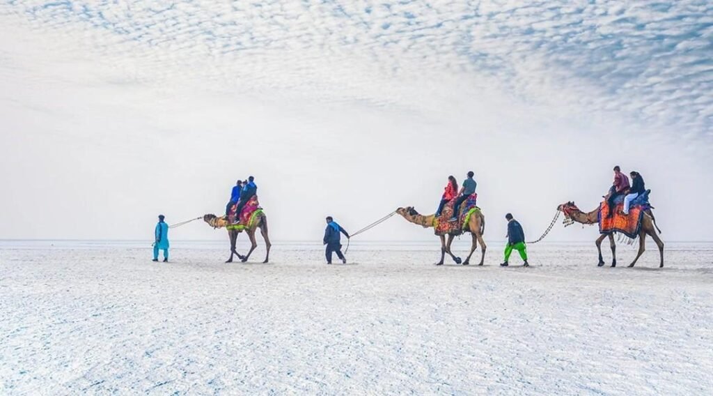 Travel Spots in India