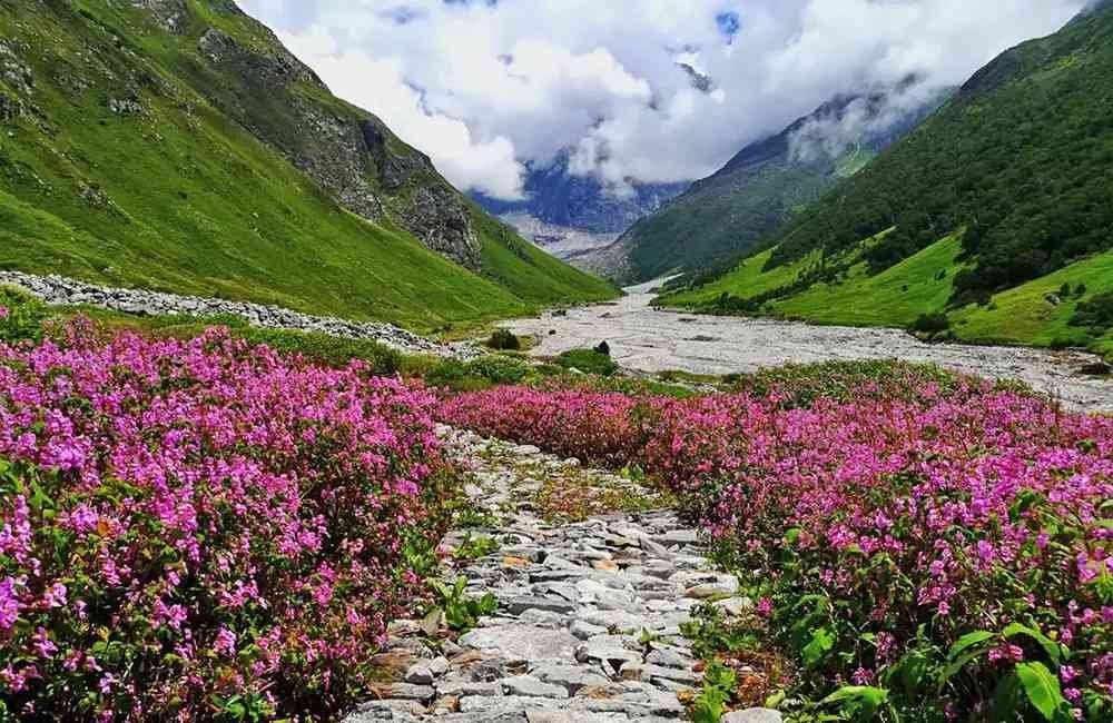 Travel Spots in India