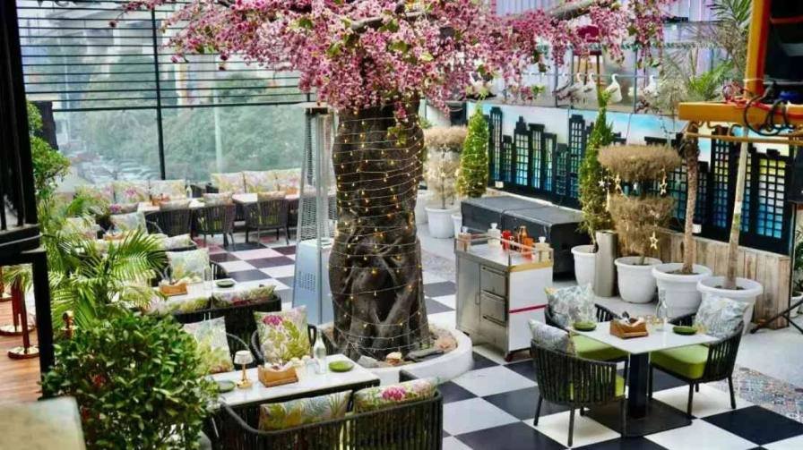 Restaurant in Noida