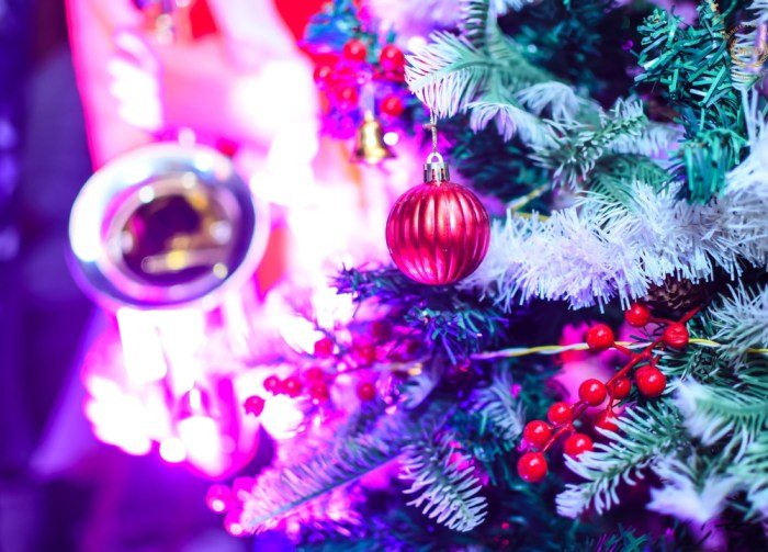 Christmas and New Year Party Package in Noida